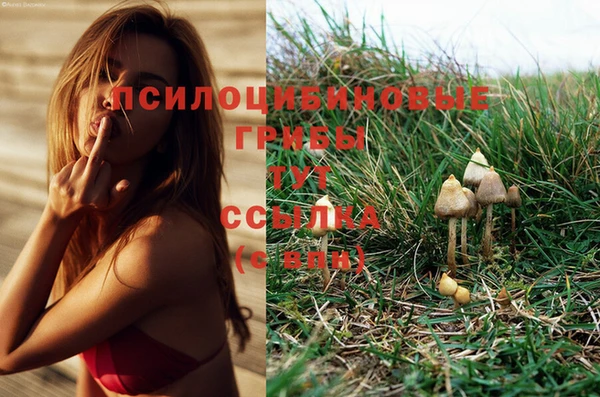трава Нязепетровск