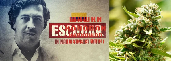 каннабис Абинск