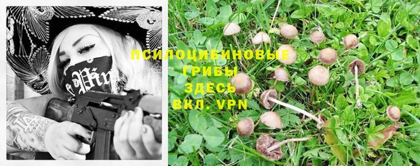 трава Нязепетровск