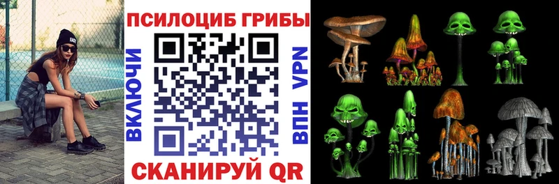 blacksprut вход Сорск Псилоцибиновые грибы Psilocybe